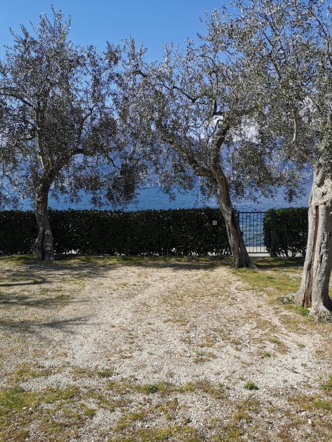 Camping Baldo Brenzone sul Garda Exterior foto