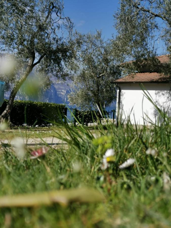 Camping Baldo Brenzone sul Garda Exterior foto