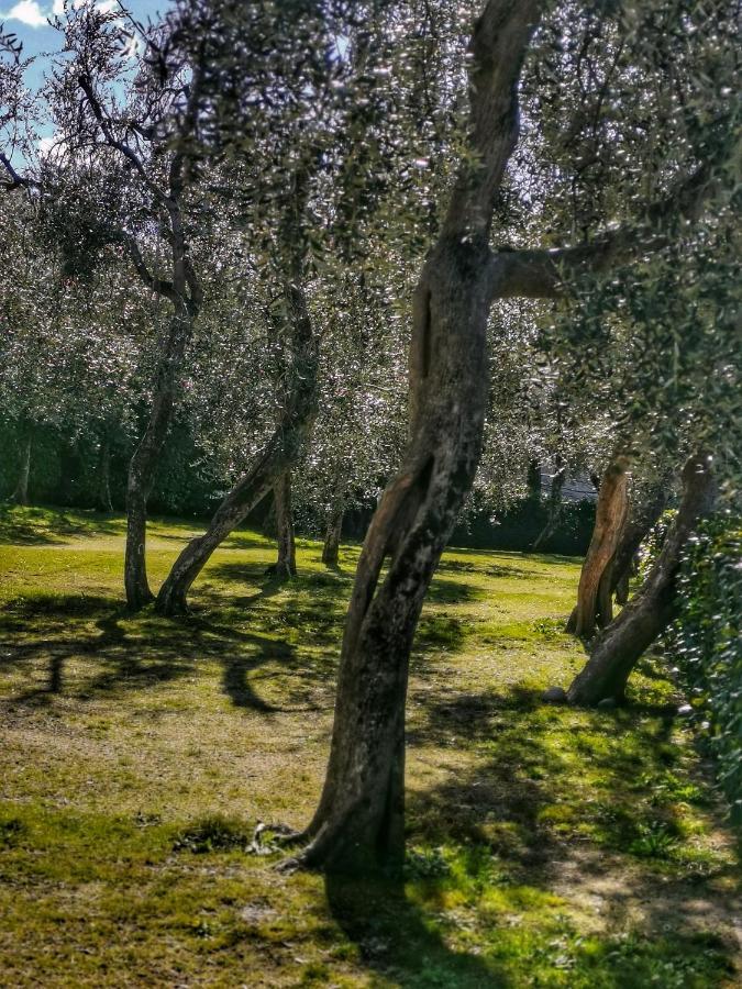 Camping Baldo Brenzone sul Garda Exterior foto