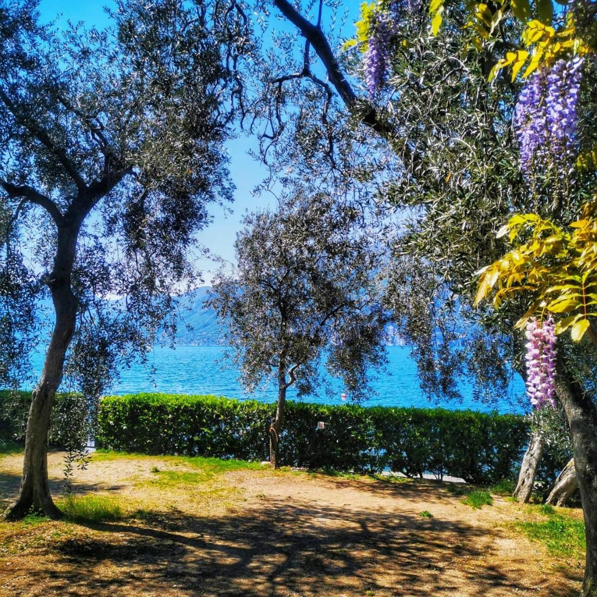 Camping Baldo Brenzone sul Garda Exterior foto